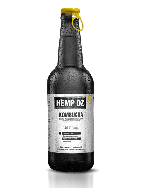 Hemp Kombucha (12 bottles)